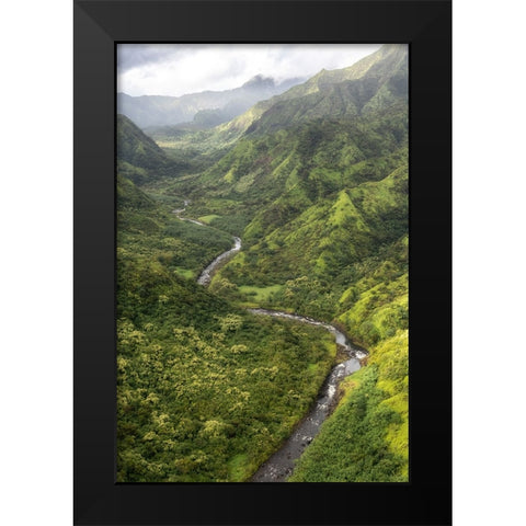 Hanalei Valley I Black Modern Wood Framed Art Print by Head, Danny