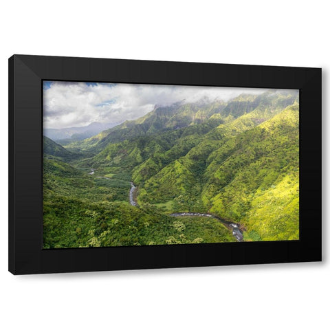 Hanalei Valley II Black Modern Wood Framed Art Print with Double Matting by Head, Danny