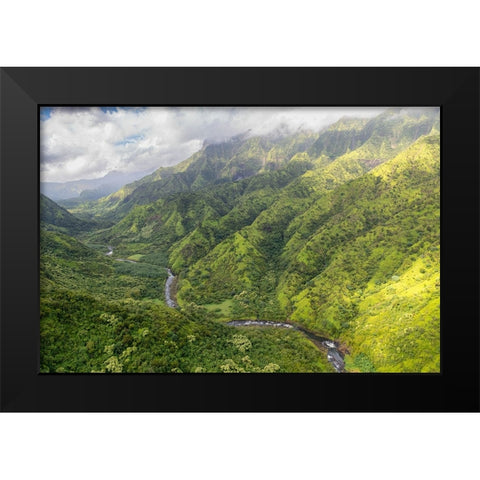 Hanalei Valley II Black Modern Wood Framed Art Print by Head, Danny