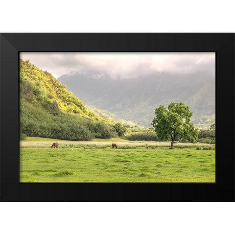 Kauai Grazing Black Modern Wood Framed Art Print by Head, Danny