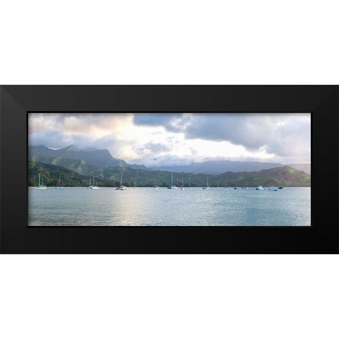 Hanalei Pano I Black Modern Wood Framed Art Print by Head, Danny