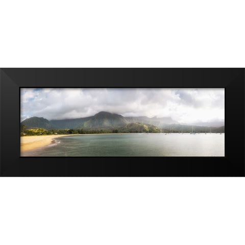 Hanalei Pano II Black Modern Wood Framed Art Print by Head, Danny
