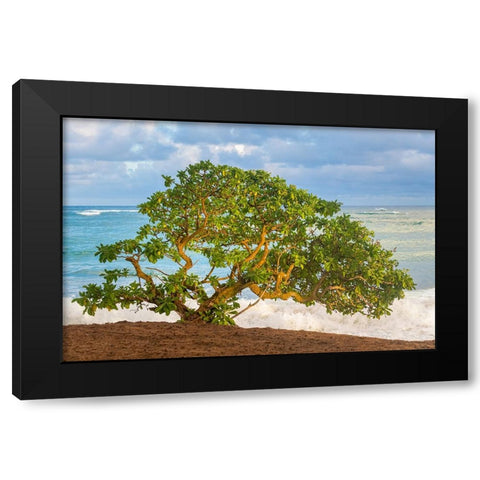 Beachside Tree Black Modern Wood Framed Art Print by Head, Danny