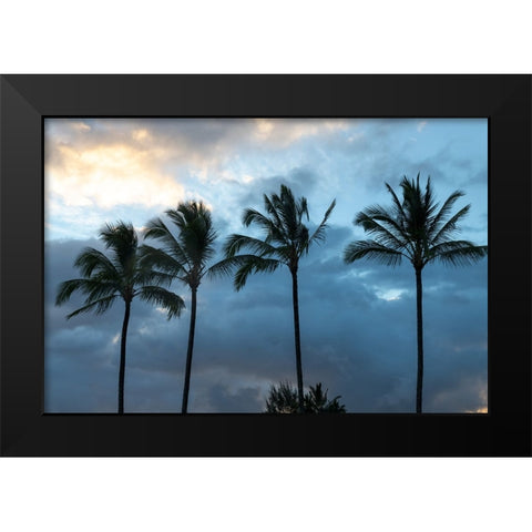 Palm Silhouette I Black Modern Wood Framed Art Print by Head, Danny
