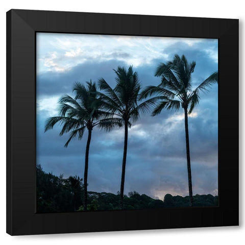 Palm Silhouette II Black Modern Wood Framed Art Print with Double Matting by Head, Danny
