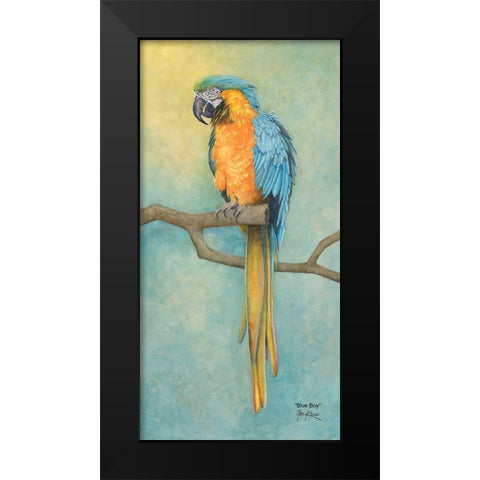 Macaw- Blue Boy Black Modern Wood Framed Art Print by Rizzo, Gene