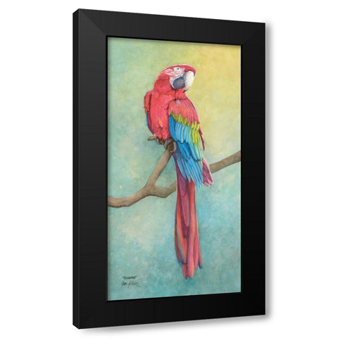 Macaw-Scarlet Black Modern Wood Framed Art Print with Double Matting by Rizzo, Gene