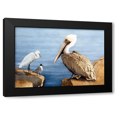 Seabird Sunbathers Black Modern Wood Framed Art Print with Double Matting by Rizzo, Gene