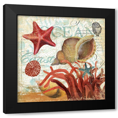Shell Collector 1I Black Modern Wood Framed Art Print with Double Matting by Art Licensing Studio