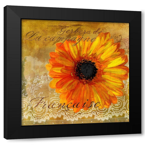 Gerbera Francaise Black Modern Wood Framed Art Print by Art Licensing Studio