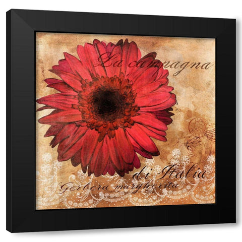 Gerbera Italia Black Modern Wood Framed Art Print by Art Licensing Studio