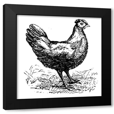Chicken Scratch Black Modern Wood Framed Art Print with Double Matting by Art Licensing Studio