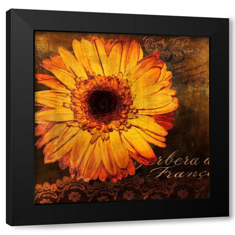 Golden Gerbera III Black Modern Wood Framed Art Print by Art Licensing Studio