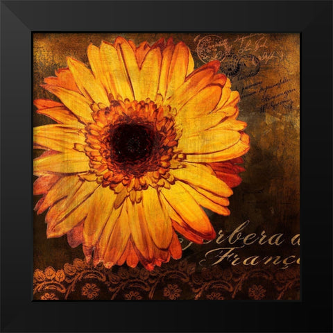 Golden Gerbera III Black Modern Wood Framed Art Print by Art Licensing Studio