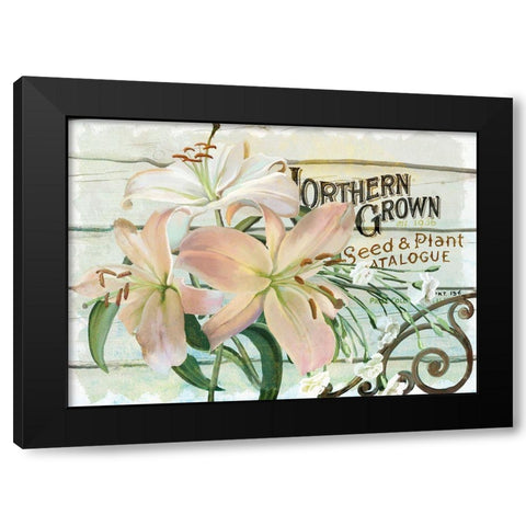 Farm Seed Lilies Black Modern Wood Framed Art Print by Art Licensing Studio