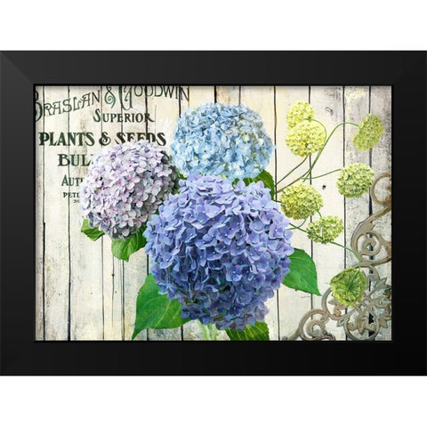 Farm Seed Hydrangeas Black Modern Wood Framed Art Print by Art Licensing Studio