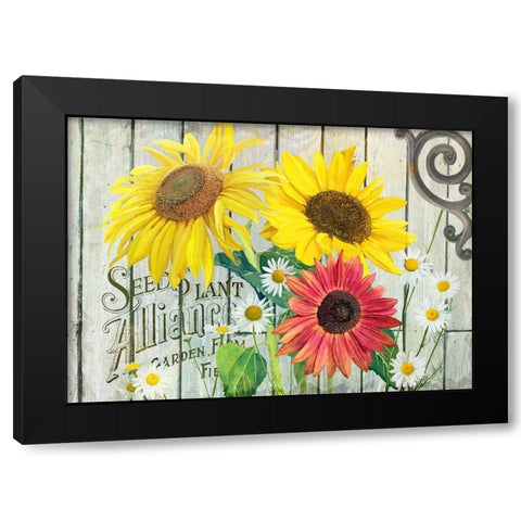 Farm Seed Sunflowers Black Modern Wood Framed Art Print with Double Matting by Art Licensing Studio