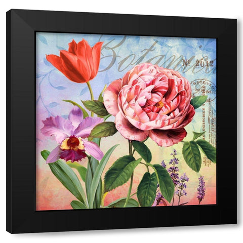 Botanique with Rose Black Modern Wood Framed Art Print with Double Matting by Art Licensing Studio