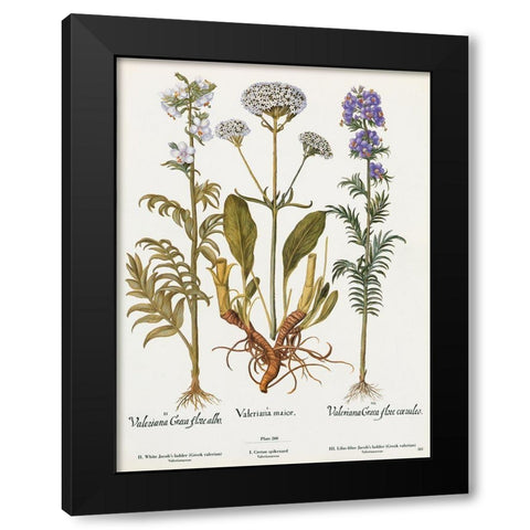 Valeriana Black Modern Wood Framed Art Print with Double Matting by Art Licensing Studio