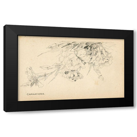 Carnations Black Modern Wood Framed Art Print with Double Matting by Art Licensing Studio