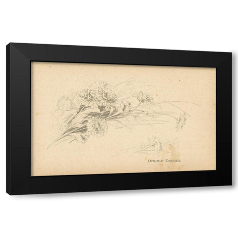 Double Daisies Black Modern Wood Framed Art Print with Double Matting by Art Licensing Studio