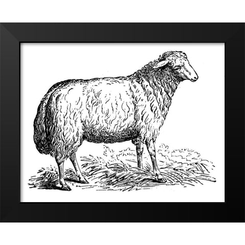 Ewe Black Modern Wood Framed Art Print by Art Licensing Studio