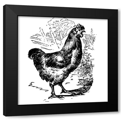 Garden Chicken Black Modern Wood Framed Art Print by Art Licensing Studio