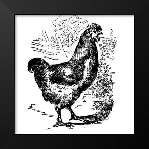 Garden Chicken Black Modern Wood Framed Art Print by Art Licensing Studio