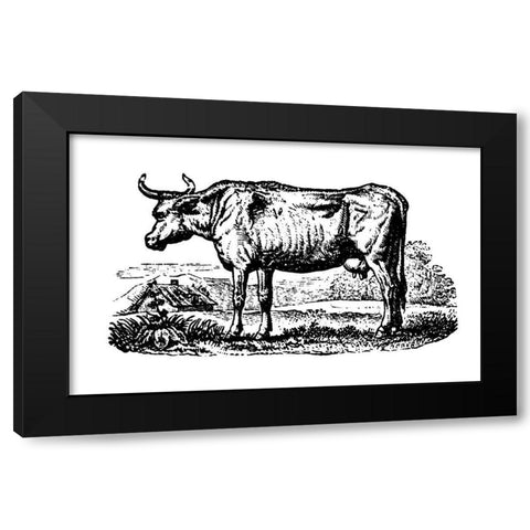 Horned Cow Black Modern Wood Framed Art Print with Double Matting by Art Licensing Studio