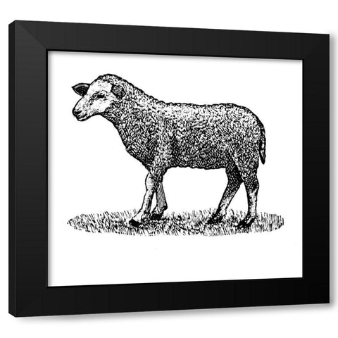 Little Ewe Black Modern Wood Framed Art Print by Art Licensing Studio