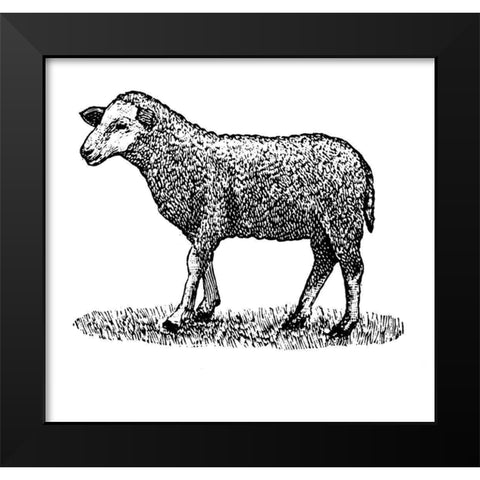 Little Ewe Black Modern Wood Framed Art Print by Art Licensing Studio