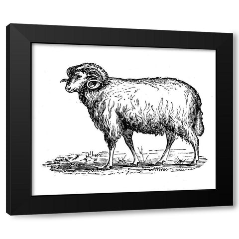 Mr Ram Black Modern Wood Framed Art Print with Double Matting by Art Licensing Studio