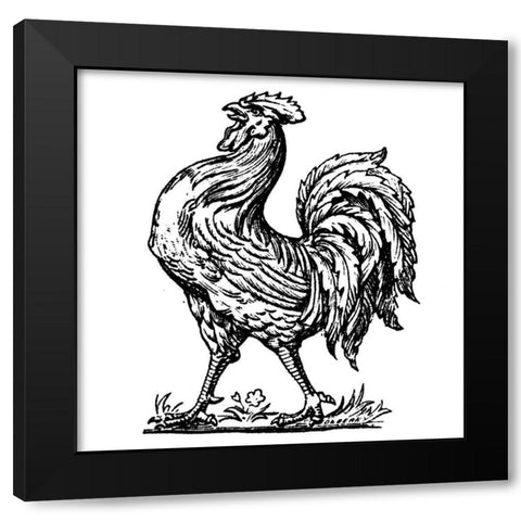 Proud Rooster Black Modern Wood Framed Art Print with Double Matting by Art Licensing Studio