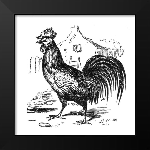 Roving Rooster Black Modern Wood Framed Art Print by Art Licensing Studio