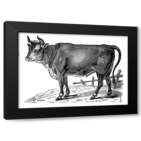 The Happy Cow Black Modern Wood Framed Art Print by Art Licensing Studio
