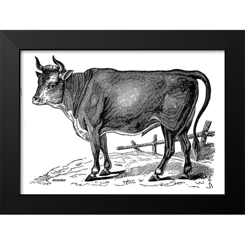 The Happy Cow Black Modern Wood Framed Art Print by Art Licensing Studio