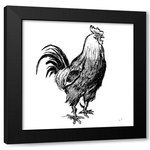 The Rooster Guard Black Modern Wood Framed Art Print by Art Licensing Studio