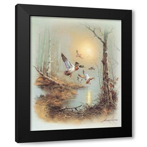 Ducks A Black Modern Wood Framed Art Print with Double Matting by Orpinas, Andres