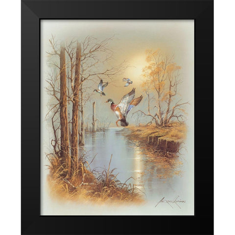Ducks B Black Modern Wood Framed Art Print by Orpinas, Andres