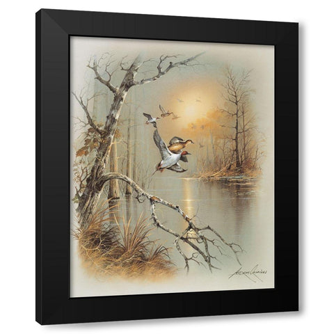 Ducks C Black Modern Wood Framed Art Print with Double Matting by Orpinas, Andres