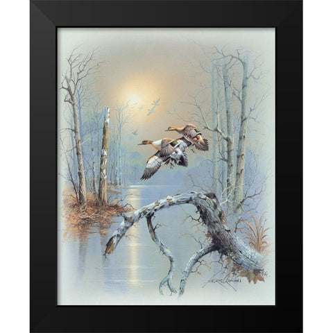 Ducks D Black Modern Wood Framed Art Print by Orpinas, Andres
