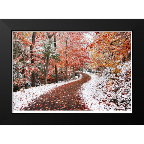 2 Seasons Black Modern Wood Framed Art Print by Heine, Ben