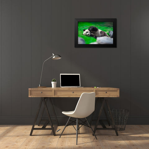 Bamboo Right in my Stomach 2 Black Modern Wood Framed Art Print by Heine, Ben