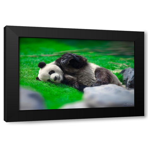 Bamboo Right in my Stomach 2 Black Modern Wood Framed Art Print by Heine, Ben