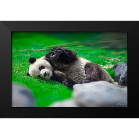 Bamboo Right in my Stomach 2 Black Modern Wood Framed Art Print by Heine, Ben