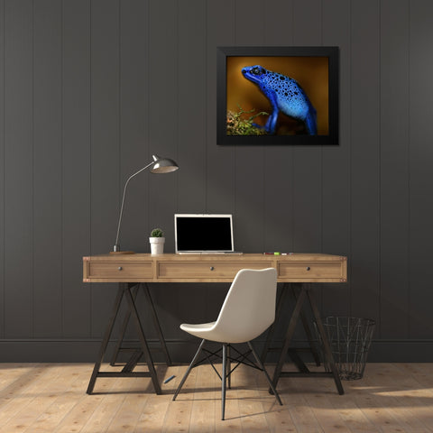 Bluetiful Black Modern Wood Framed Art Print by Heine, Ben