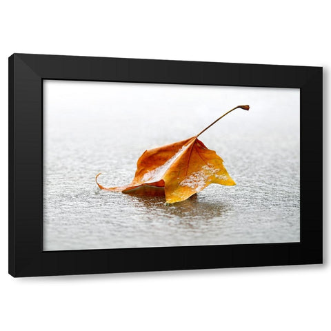 Crisp Black Modern Wood Framed Art Print by Heine, Ben