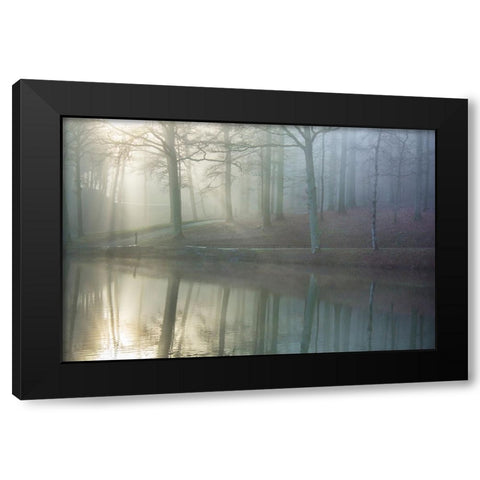 Echo Black Modern Wood Framed Art Print by Heine, Ben