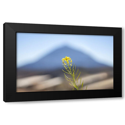 El Teide Black Modern Wood Framed Art Print by Heine, Ben