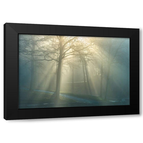 Forest Melody Black Modern Wood Framed Art Print by Heine, Ben